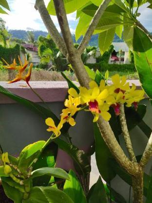 Ocean Lodge Langkawi Zewnętrze zdjęcie